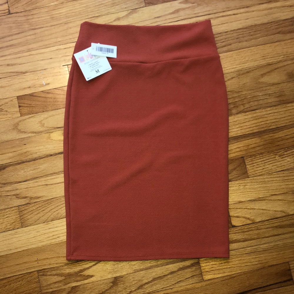 Brand new lularoe Cassie skirt